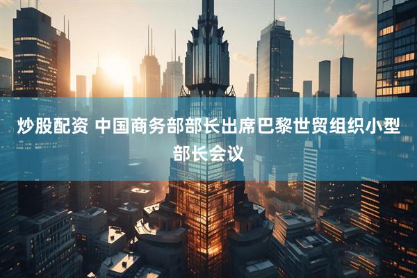 炒股配资 中国商务部部长出席巴黎世贸组织小型部长会议