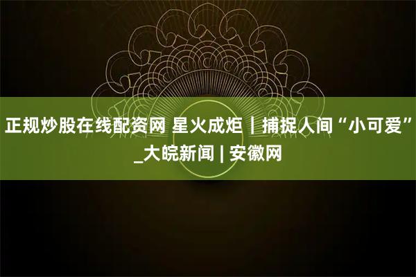 正规炒股在线配资网 星火成炬｜捕捉人间“小可爱”_大皖新闻 | 安徽网